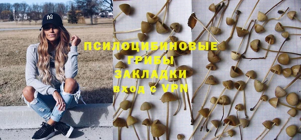 стафф Баксан