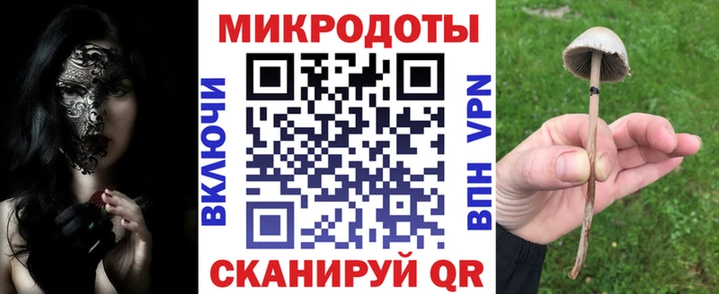 Псилоцибиновые грибы мицелий  цены   Светлогорск 